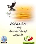 FB_IMG_1709969325127.jpg
