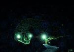 IMG_9631.jpeg