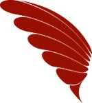 IMG_9536.png