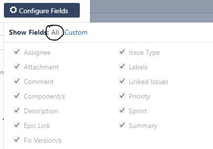 jira issue.JPG