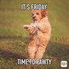 its-friday-time-to-pawty.jpg