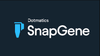 Capture.PNG