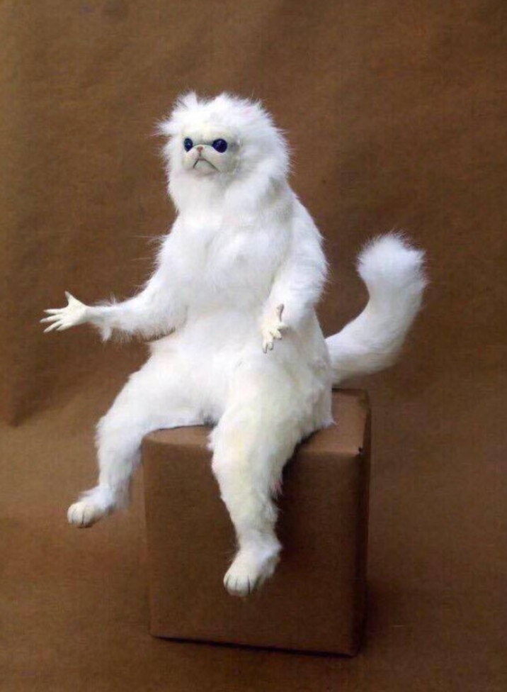 Screenshot 2024-05-01 at 7.31.03 AM.png