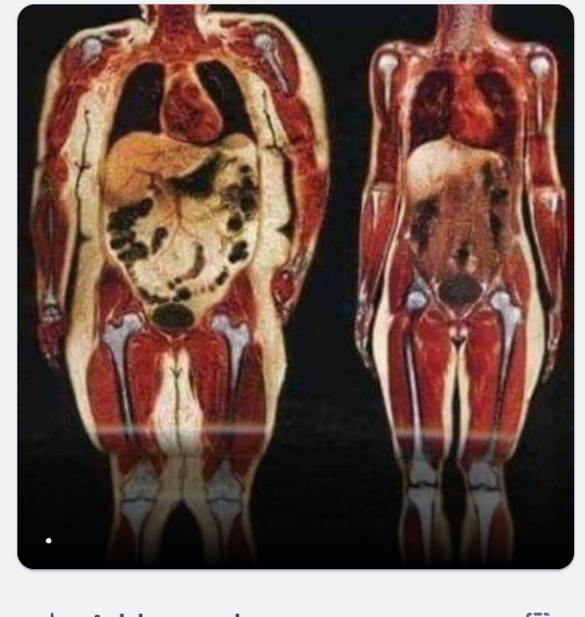 Screenshot 2024-05-07 at 10.52.28.png