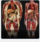 Screenshot 2024-05-07 at 10.52.28.png