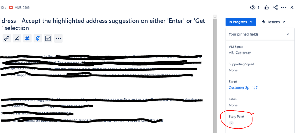 Issue View.PNG