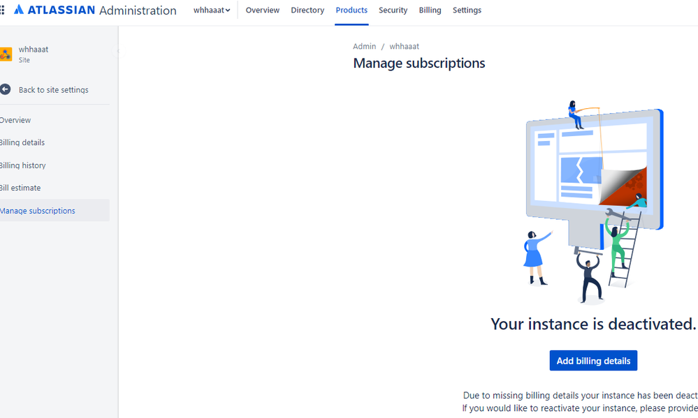 product subscription details.png