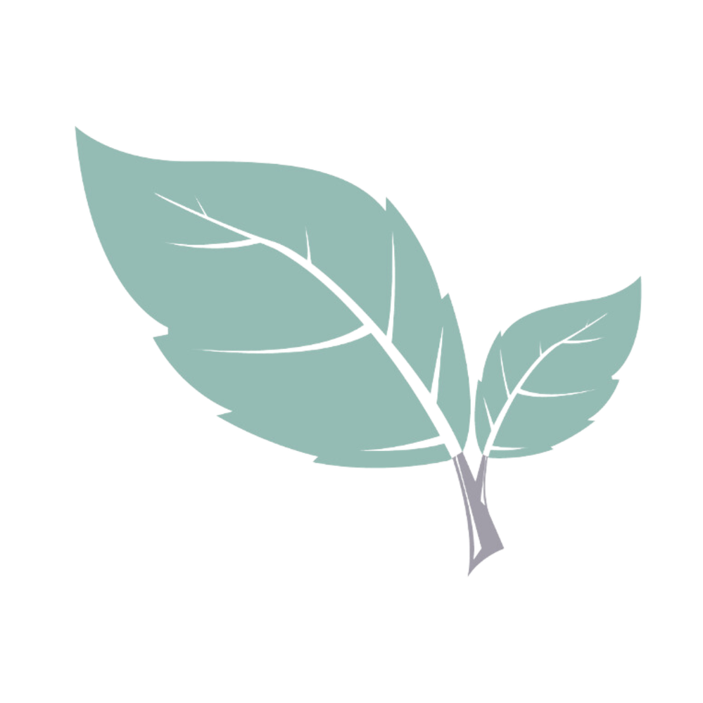 myherb favicon transparent.png