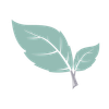 myherb favicon transparent.png