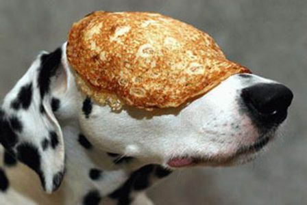 pancakedog.jpeg
