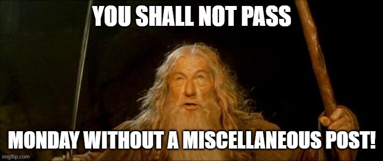 You Shall Not Pass.jpg