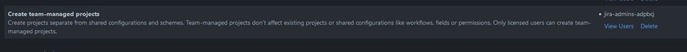 2024-07-01 15_02_37-Global Permissions - Jira — Mozilla Firefox.jpg