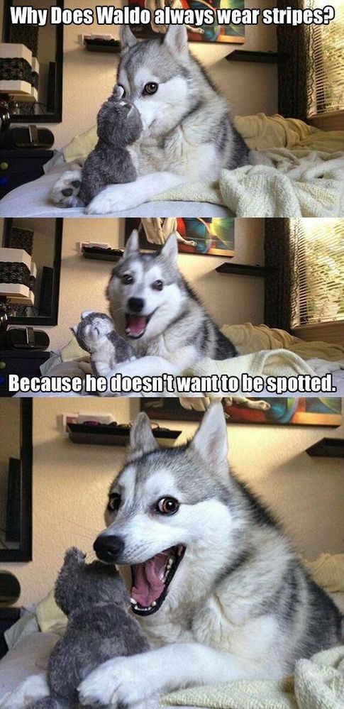 pun husky.jpg