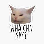 images (1).jpeg