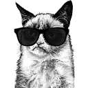 coolgrumpy.png