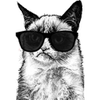 coolgrumpy.png
