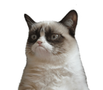 grumpy.png