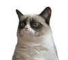 grumpy.png
