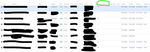 J1.png