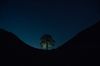 Sycamore_Gap_Tree_by_night.jpg