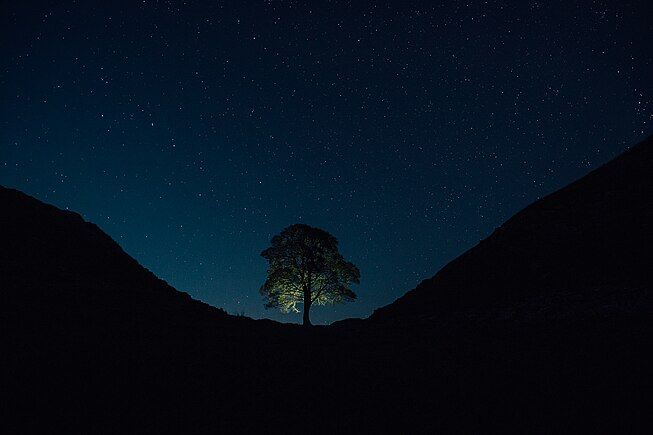 Sycamore_Gap_Tree_by_night.jpg