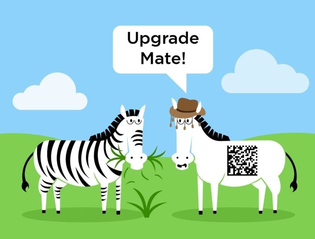 IMG_0680.jpeg IMG_0680.jpeg