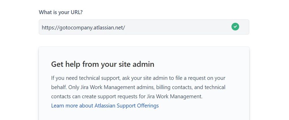jira issue 2.jpg