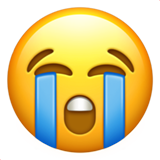 loudly-crying-face_1f62d