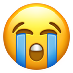 loudly-crying-face_1f62d