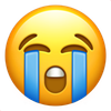 loudly-crying-face_1f62d
