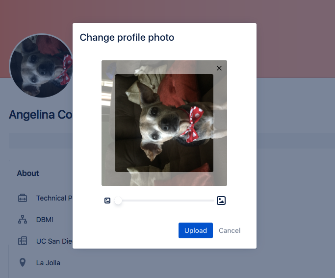 Screen Shot 2018-10-10 at 11.44.01 AM.png