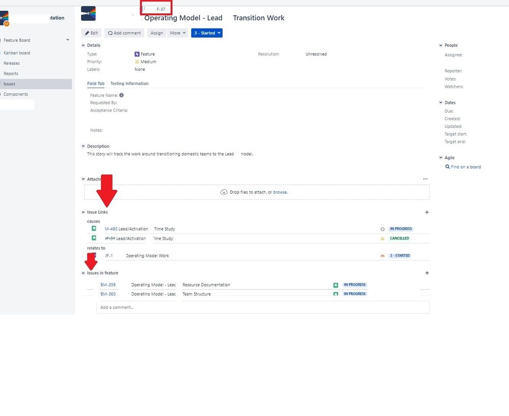 Jira_feature.jpg