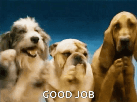 clapping-dog-applause.gif clapping-dog-applause.gif