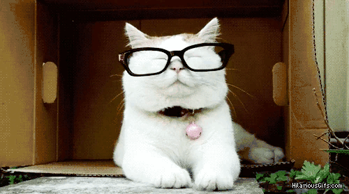 giphy-_2_ (2).gif giphy-_2_ (2).gif