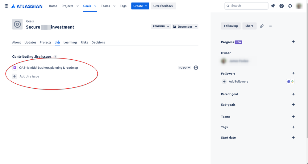 jira-goal-detail.png