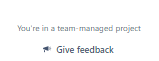 Team Managed.png