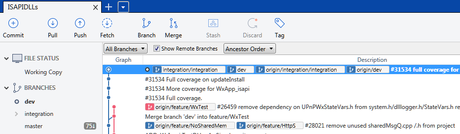 sourceTreeRepoDev.PNG
