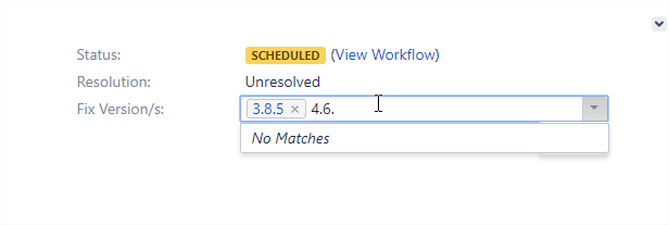 Fix Version - No option.png