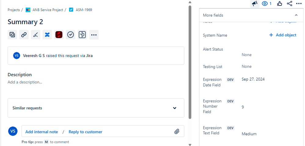 Expression Field Values in Issue view.png