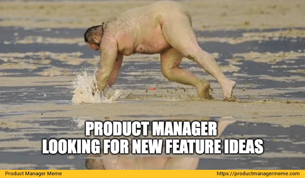 product-manager-looking-for-new-feature-ideas-1693862802.png