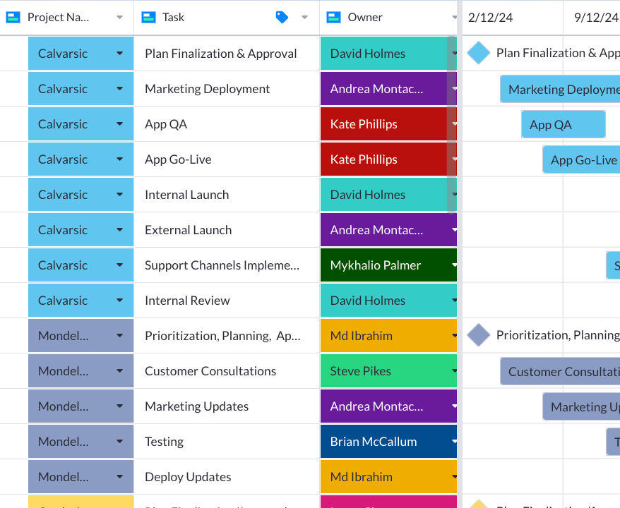 Portfolio-Gantt-Chart-Example-02.png
