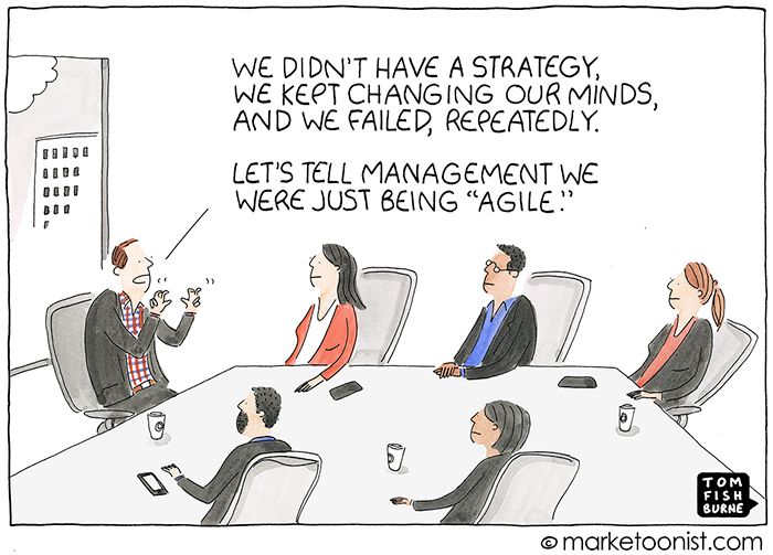 Agile cartoon.jpg