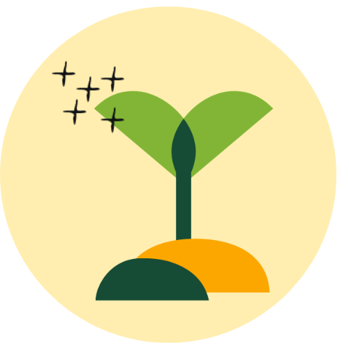 Meet for Trees Dec24.png