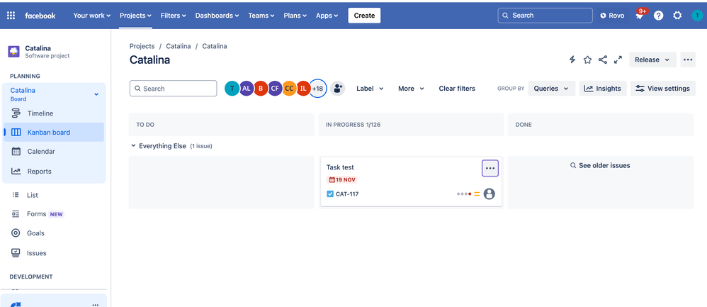 JIRA CAT.png