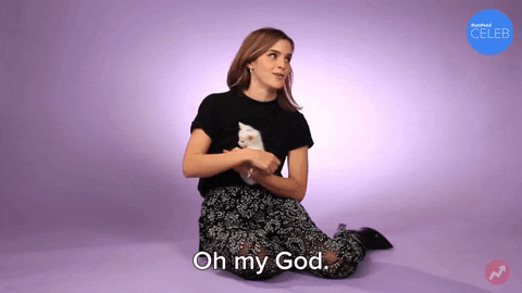 giphy giphy