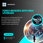 FOREX TRADING GIGH LEVERAGE.png