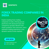 FOREX TRADING COMPANY INDIA.png