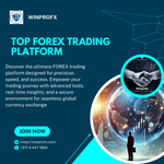 TOP FOREX TARDING1.png