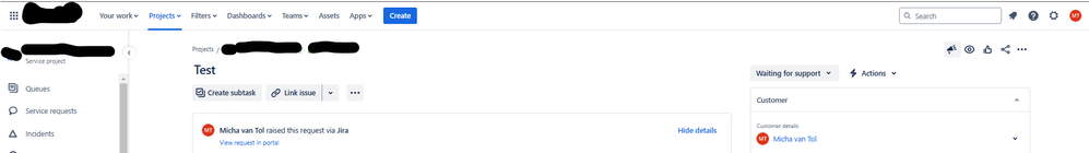 example issue view.png