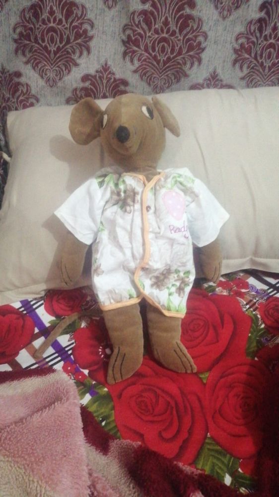 IMG-20250121-WA0011.jpg
